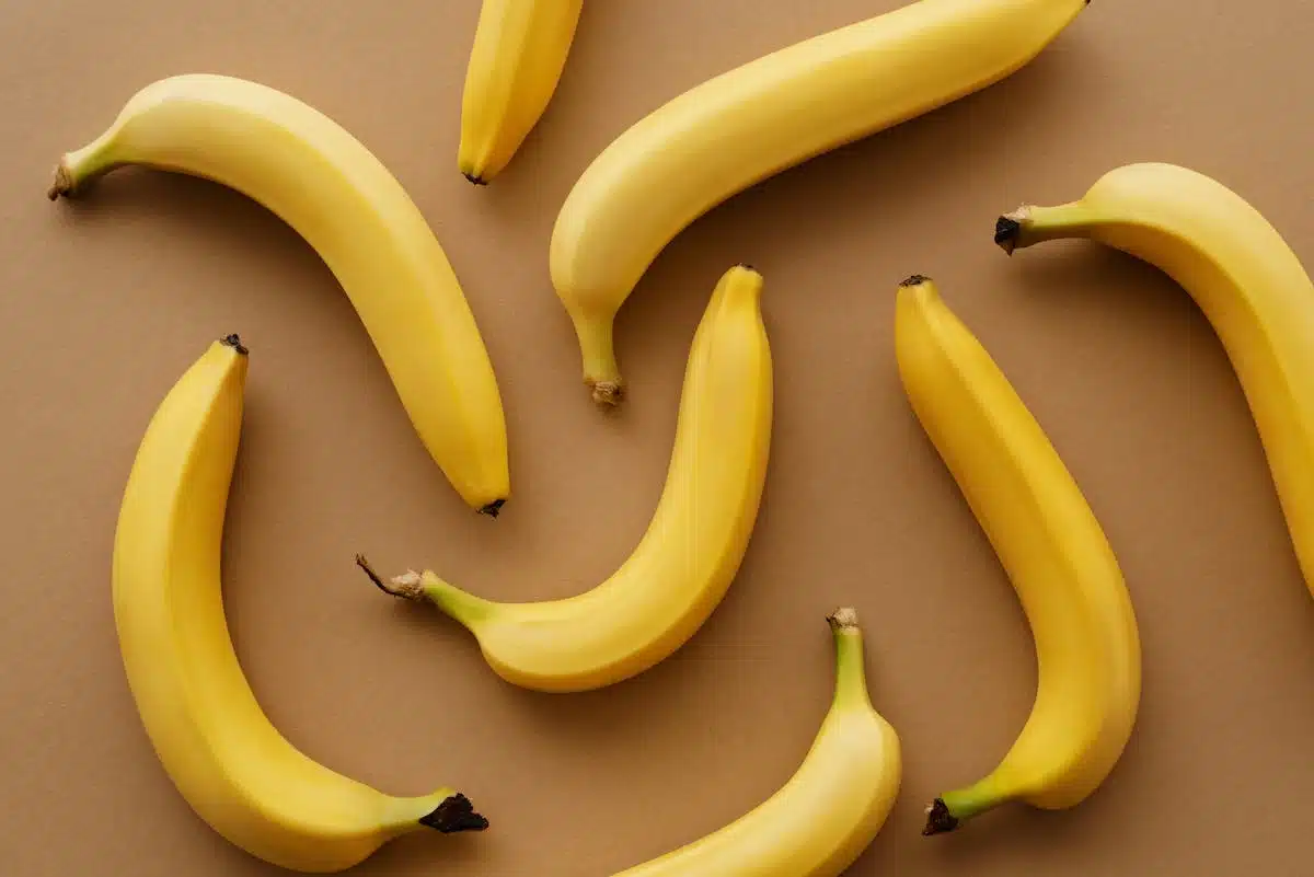 endurance  aliments
