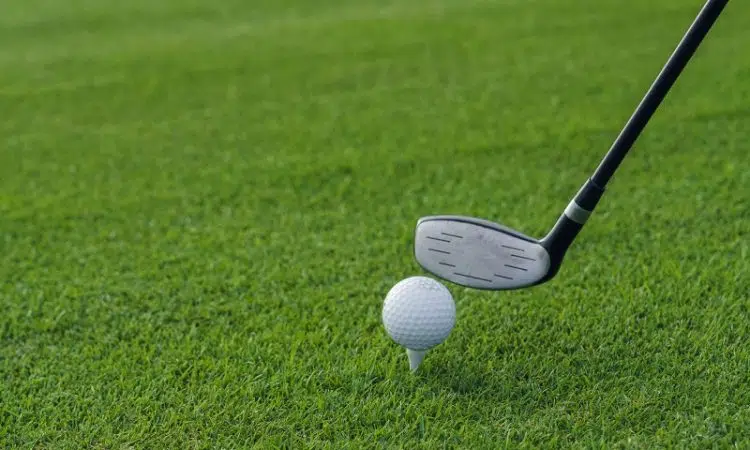 Comment s'appellent les coups au golf