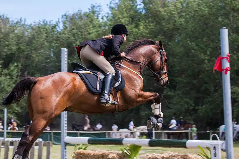 L'importance d'un bon équipement pour pratiquer l'équitation en toute sécurité