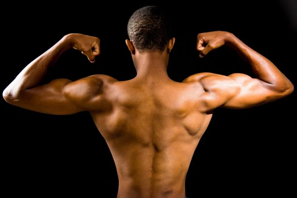 musculation