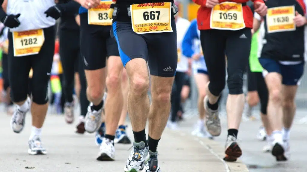 Un Marathon pour l'écologie vous attend à Rennes