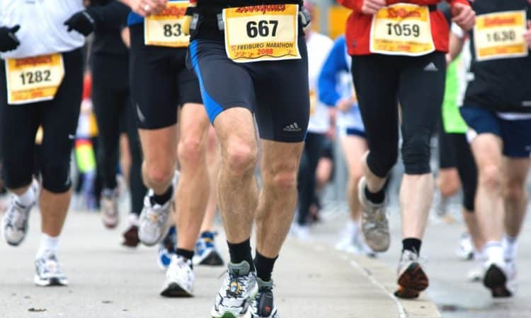 Un Marathon pour l'écologie vous attend à Rennes