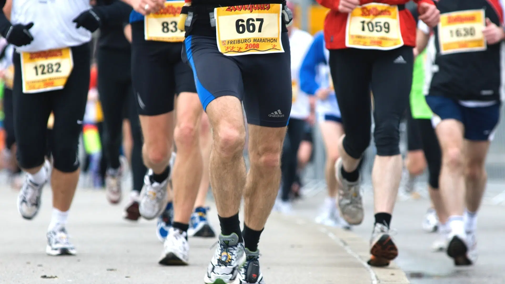 Un Marathon pour l'écologie vous attend à Rennes